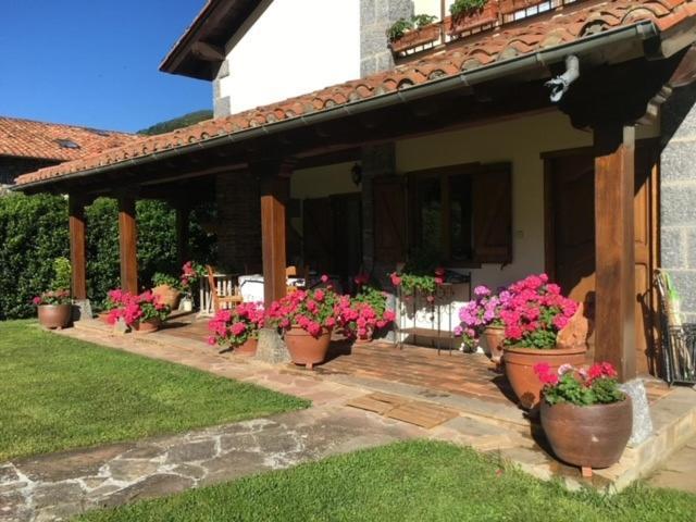 Excepcional Casa El Olivo Villa Ojedo Ngoại thất bức ảnh